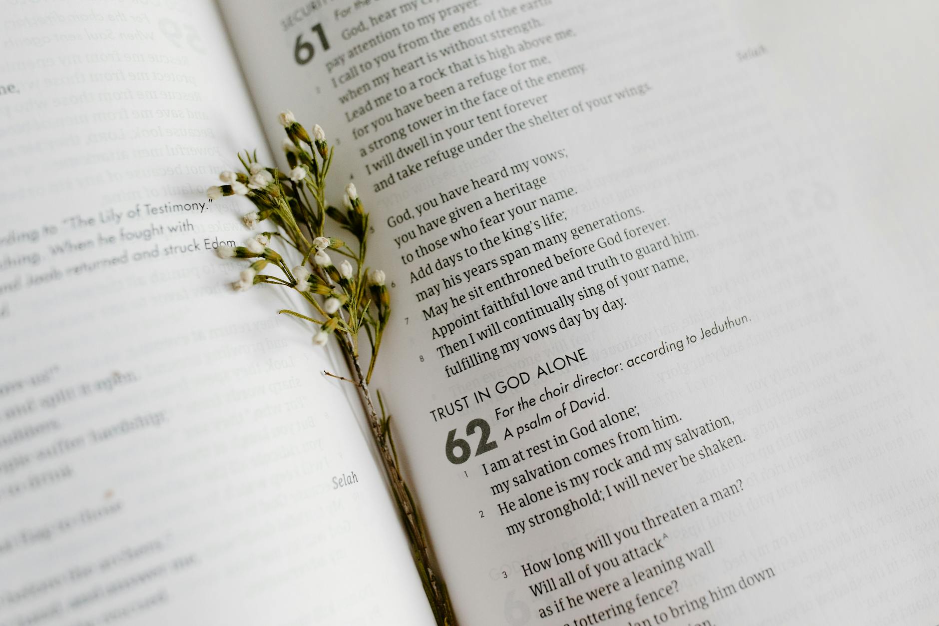 Contemplative Prayer – July 7, 2026
